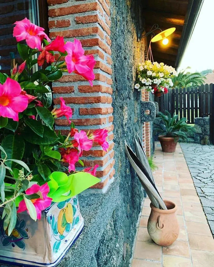 Apartamento Il Tiglio Viagrande